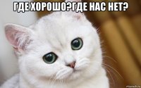 где хорошо?где нас нет? 