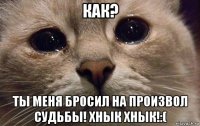 как? ты меня бросил на произвол судьбы! хнык хнык!:(