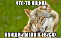 что-то ищиш поищи у меня в трусах