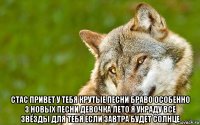  стас привет у тебя крутые песни браво особенно 3 новых песни девочка лето я украду все звёзды для тебя если завтра будет солнце