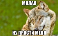 милая ну прости меня