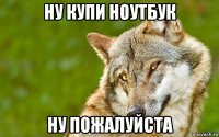 ну купи ноутбук ну пожалуйста