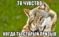 то чувство когда ты старый призыв