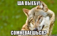 ша выебу! сомневаешься?