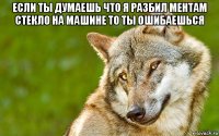 если ты думаешь что я разбил ментам стекло на машине то ты ошибаешься 