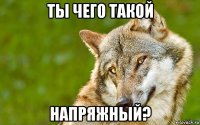 ты чего такой напряжный?