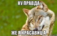 ну правда же я красавиц а