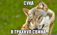 сука я трахнул свина.