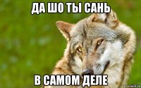 да шо ты сань в самом деле