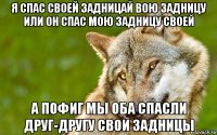 я спас своей задницай вою задницу или он спас мою задницу своей а пофиг мы оба спасли друг-другу свои задницы