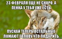 23 февраля еще не скоро, а пенка у тебя уже есть пускай теперь остальные ломают голову что подарить