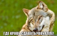  где кровь сдавать?воу,алле!