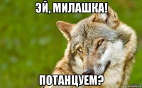 эй, милашка! потанцуем?