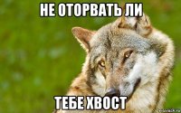 не оторвать ли тебе хвост