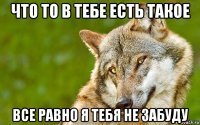 что то в тебе есть такое все равно я тебя не забуду