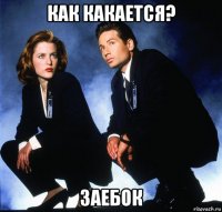 как какается? заебок