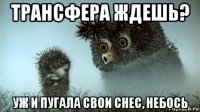 трансфера ждешь? уж и пугала свои снес, небось