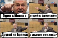 Один в Москве второй на Борисоглебск Другой на Брянск а шашлыки опять мне???