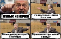 Глупые хомячки Есть международное право в Конституции Нет международного права в Конституции Справедливого суда не было и не будет