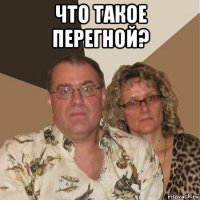 что такое перегной? 