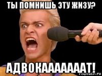 ты помнишь эту жизу? адвокааааааат!