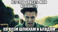 нет слов описать мою ненависть ко всем шлюхам и блядям