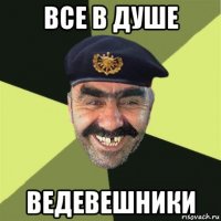 все в душе ведевешники