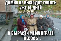 димка не выходит гулять уже 10 дней в вырасти мема играет небось