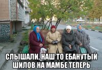  слышали, наш то ебанутый шилов на мамбе теперь