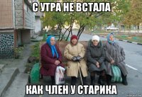 с утра не встала как член у старика