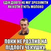 едік довго не міг зрозуміти як коти п'ють молоко поки не розлив на підлогу чекушку.