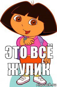 это всё жулик