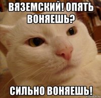 вяземский! опять воняешь? сильно воняешь!