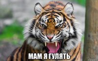  мам я гулять