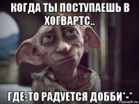 когда ты поступаешь в хогвартс.. где-то радуется добби*-*