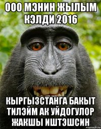 ооо мэнин жылым кэлди 2016 кыргызстанга бакыт тилэйм ак уйдогулор жакшы иштэшсин