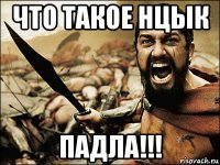 что такое нцык падла!!!