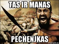 tas ir manas pechenjkas