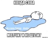 когда сова молчит и не шутит