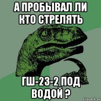 а пробывал ли кто стрелять гш-23-2 под водой ?