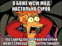 о боже wcw мод настолько суров что снаряд после пробития брони может срикошетить внутри танка!!!!