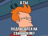 а ты подписался на свинариум?