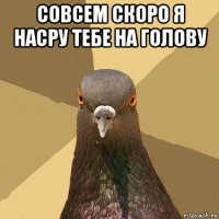 совсем скоро я насру тебе на голову 