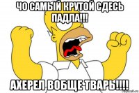 чо самый крутой сдесь падла!!! ахерел вобще тварь!!!!