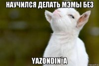 научился делать мэмы без yazondin`a