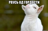 рвусь од гордости 