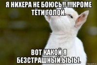 я нихера не боюсь!! !!!кроме тёти голой. вот какой я безстрашный.ыыы.