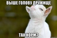 выше голову дружище так норм?