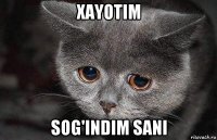 xayotim sog'indim sani