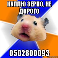 куплю зерно, не дорого 0502800093